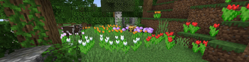 Flower Clusters preview